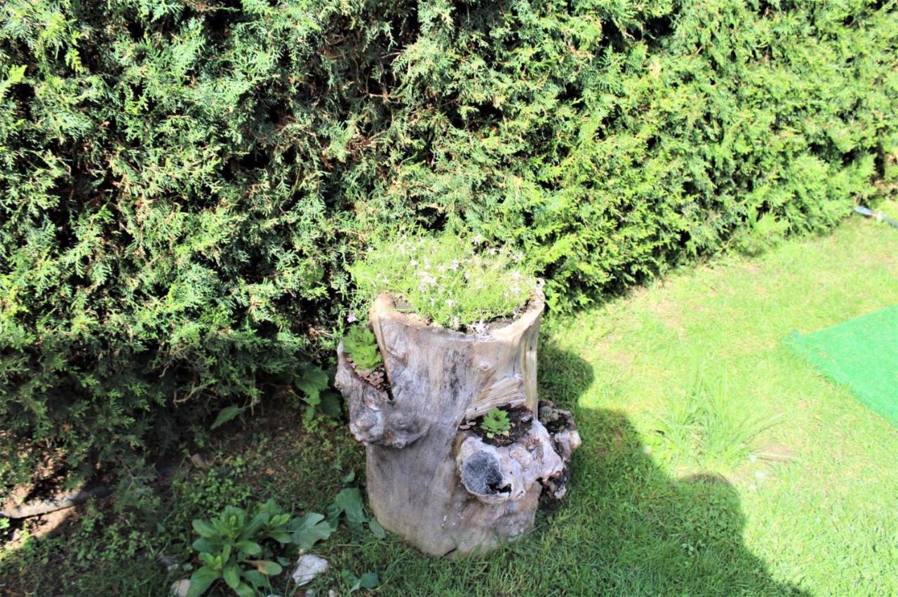 Guest House Brezata - Betula Glavatartsi Luaran gambar